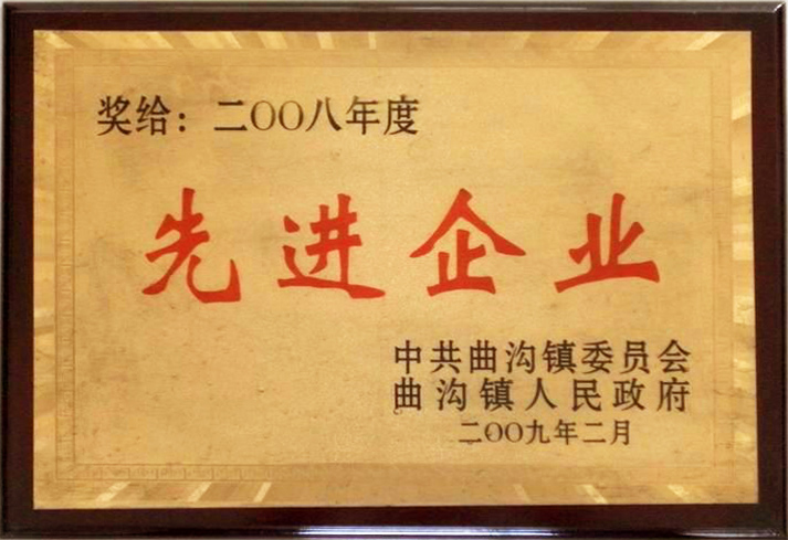 2008年度先進企業(yè)
